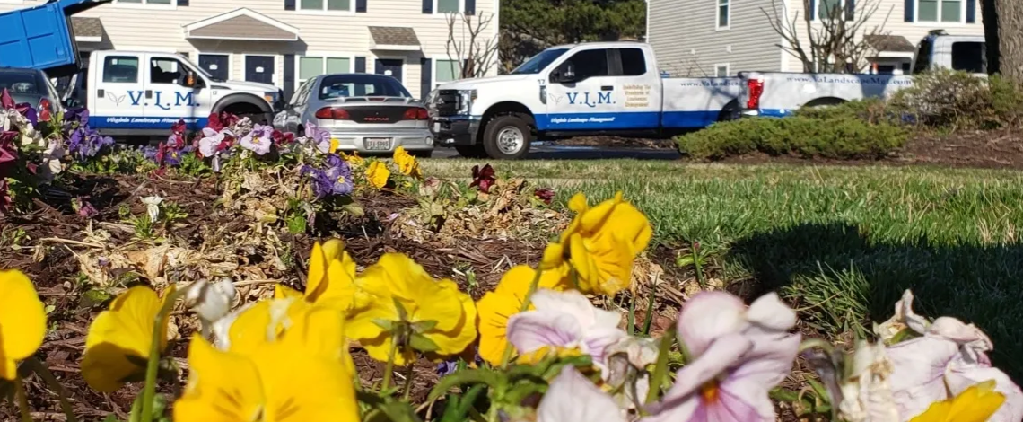 selecting the right commercial landscaper